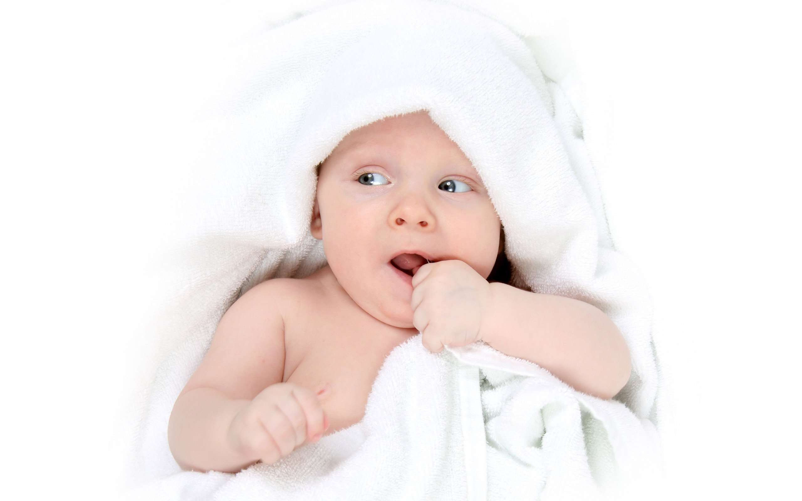 大连代怀生子助孕机构试管婴儿没有卵泡能做吗